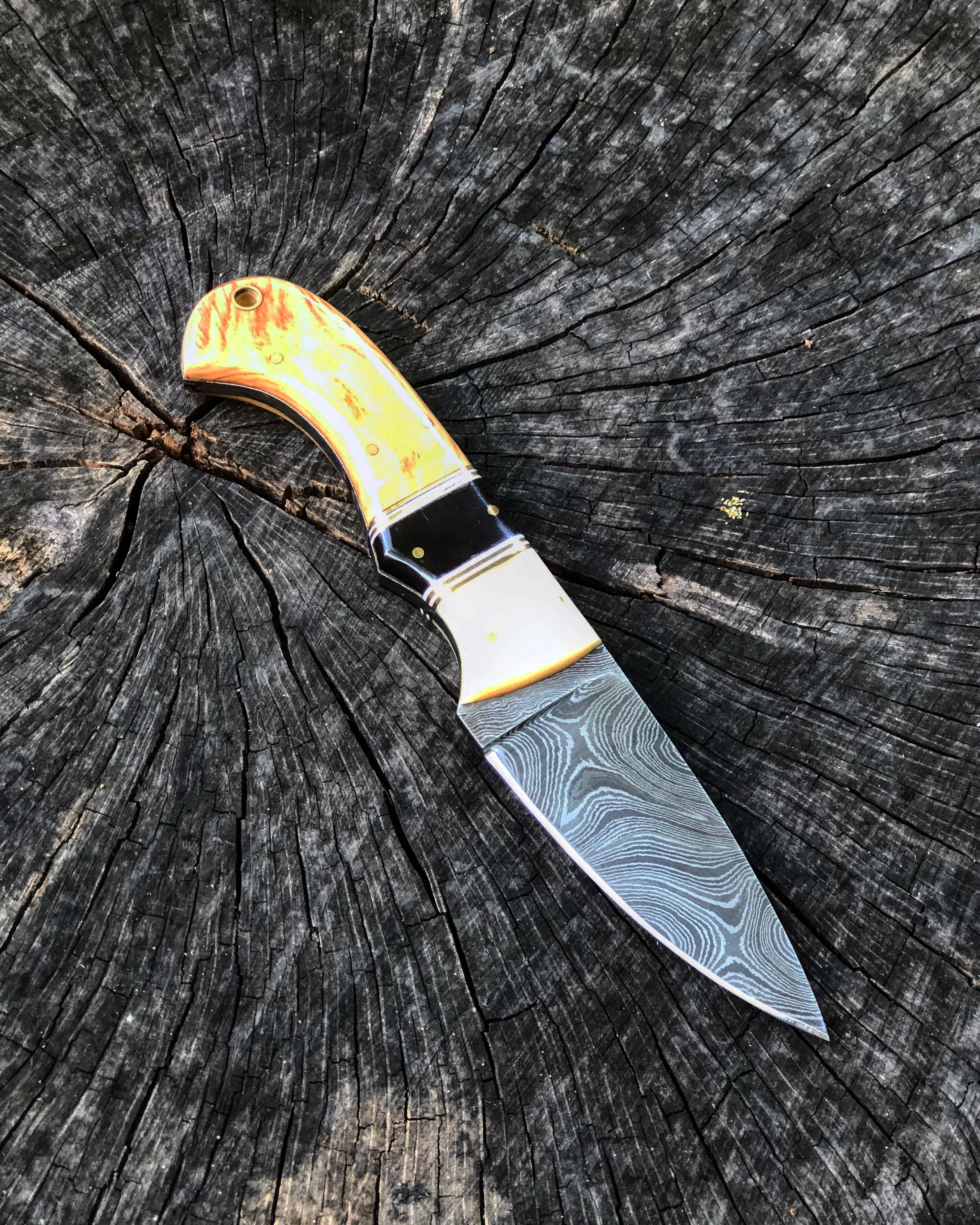 Olive Wood And Bone Skinner - Image 4